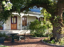 Montagu Vines