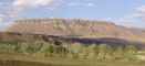 Harrismith Mountain Race