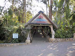 Carnivore Restaurant