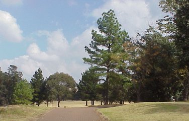 Emmarentia Dam