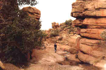 Sandstone rock formations