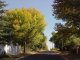 Johannesburg Suburbs