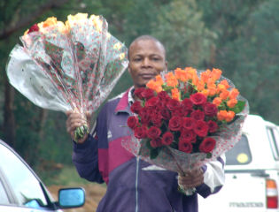 Roses