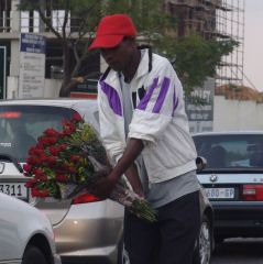 Roses