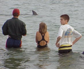 Dolphin Discovery Centre, Bunbury