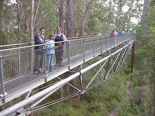 Tree Top Walk
