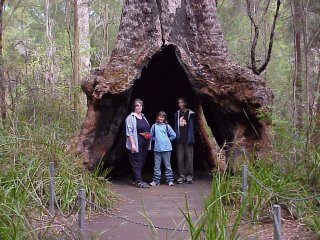 Valley of the Giants