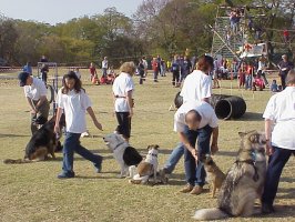 Kayla at Rivonia Primary School