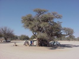 Nossob, Kalahari