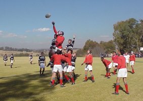Rugby - David Jones