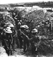 Delville Wood