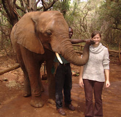 Elephant Sanctuary, Magaliesburg