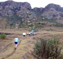 Harrismith Mountain Race