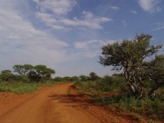Mokala National Park