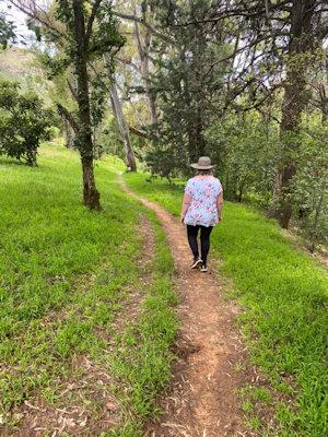 Walk in Clarens, 2022
