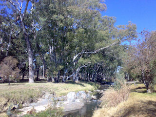 Braamfontein Spruit - Bryanston