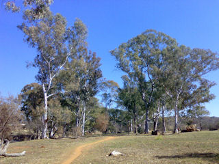 Braamfontein Spruit - Bryanston