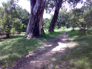 Braamfontein Spruit - Bryanston