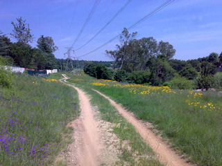 Braamfontein Spruit - Bryanston