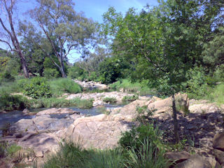 Braamfontein Spruit - Bryanston