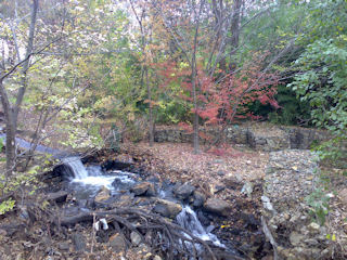 Braamfontein Spruit - Craighall