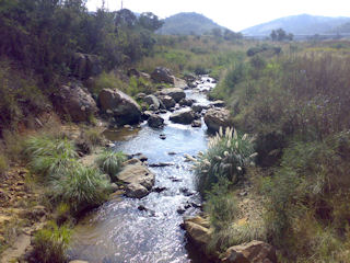 Klipriviersberg Nature Reserve